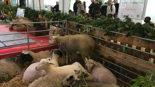 Une journée 100% Côte d’Or ce mardi sur le salon de l’agriculture 